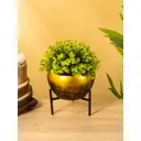 Кашпо на подставке Сима-Ленд Горшочек для меда 10717074 15x15 см 4 л