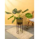 Кашпо на подставке Сима-Ленд Золото Скифов 10717148 28x61 см 4 л