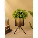 Кашпо на подставке Сима-Ленд Малахит 10717085 10x10 см 4 л