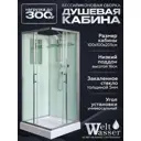 Душевая кабина Weltwasser Laine низкий поддон 100х100см 10000003260