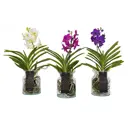 Ванда Бос микс ø14 h45 см