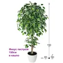 Искусственное растение в горшке ФитоПарк Фикус пестрый 150 см цвет зеленый