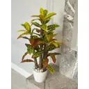 Икусственный цветок в горшке Тропикана мама Кротон 70 см