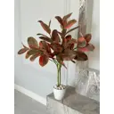 Искусственный цветок в горшке Тропикана мама Фикус Руби 100 см