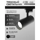 Трековый светильник Luazon Lighting 5198845 LTL-012 30 W 2100 Lm 4000K черный