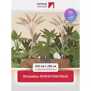 Фотообои флизелиновые Первое ателье Яркие банановые листья 300x250 см