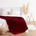 Плед Этель 6894288, 180x200 см, флис, бордовый
