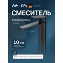 Смеситель для раковины Am.pm F8F92022 однорычажный цвет черный матовый
