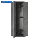 Шкаф распашной Гамма Мелодия МУ-12 с 2 дверями 95x240x60 см ЛДСП цвет ароза реликтовая