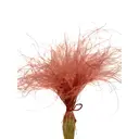 Букет из сухоцветов Donnaflor стифа 40 см цвет красный