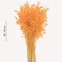 Букет из сухоцветов Donnaflor овес 60-65 см цвет оранжевый