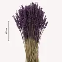 Букет из сухоцветов Donnaflor лаванда французская 40 см цвет сиреневый