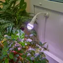 Настольная фитолампа Фитолето на присоске для растений