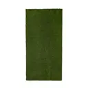 Искусственный газон Деко толщина 20 мм 2х3 м (рулон) цвет зелёный