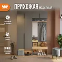 Комплект мебели для прихожей Mebelson Баско K5 160x235x34.9 см ЛДСП цвет графит/дуб крафт золотой