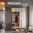 Комплект мебели для прихожей Mebelson Баско K6 140x235x34.9 см ЛДСП цвет кашемир/дуб крафт золотой