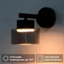 Светильник бра настенный Schaffner Nemico цвет черный