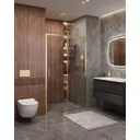 Душевая дверь Cezares Molveno-BF-1-120-C-BORO-IV 120см эффект стекла прозрачный раздвижной