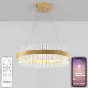 Люстра светодиодная Natali Kovaltseva 100W INNOVATION STYLE 83010