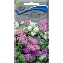 Семена цветов вербена тонкорассеченная микс