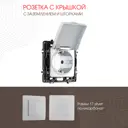 Розетка встраиваемая Arte milano 217.41-1.silver с заземлением шторками и крышкой цвет серебро