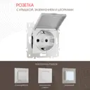 Розетка встраиваемая Arte milano 203.41-1.silver с заземлением шторками и крышкой цвет серебро