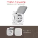 Розетка встраиваемая Arte milano 205.41-1.silver с заземлением шторками и крышкой цвет серебро