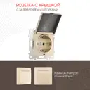 Розетка встраиваемая Arte milano 206.41-1.shampan с заземлением шторками и крышкой цвет шампань