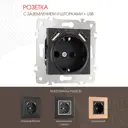 Розетка встраиваемая Arte milano 203.47-1.black с заземлением шторками и USB цвет черный