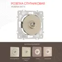 Розетка ТВ/спутник встраиваемая Arte milano 202.42-1.shampan цвет шампань