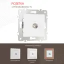 Розетка ТВ/спутник встраиваемая Arte milano 203.42-1.white цвет белый