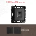 Розетка USB встраиваемая Arte milano 217.46-1.black цвет черный