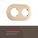 Рамка для розеток и выключателей Arte milano 502.08-2.shampan 2 поста цвет шампань