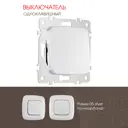 Выключатель встраиваемый Arte milano 205.30-1.silver 1 клавиша цвет серебро