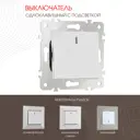 Выключатель встраиваемый Arte milano 203.31-1.silver 1 клавиша цвет серебро