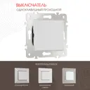 Выключатель проходной встраиваемый Arte milano 203.32-1.silver 1 клавиша цвет серебро