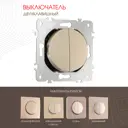 Выключатель встраиваемый Arte milano 202.30-2.shampan 2 клавиши цвет шампань