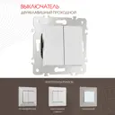 Выключатель проходной встраиваемый Arte milano 203.32-2.silver 2 клавиши цвет серебро