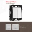 Выключатель встраиваемый Arte milano 217.30-2.silver 2 клавиши цвет серебро