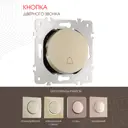 Кнопка дверного звонка Arte Milano 10 A 250 В 202.36-1.shampan