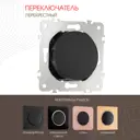 Переключатель перекрёстный Arte milano 202.34-1.black 1 клавиша цвет черный
