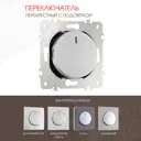 Переключатель перекрёстный Arte milano 202.35-1.silver 1 клавиша цвет серебро