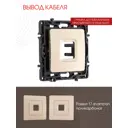 Вывод кабеля электропроводки или слаботочной сети Arte Milano 217.49-1.shampan цвет шампань