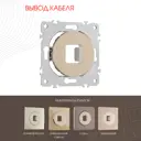 Вывод кабеля электропроводки или слаботочной сети Arte Milano 202.49-1.shampan цвет шампань