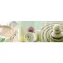 Керамическая плитка Sal sapiente JFP 27181 H 25x75см цвет с рисунком/кабанчик