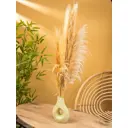 Ваза Сима-ленд Флорина 10464114 керамика 25 см цвет бежевый