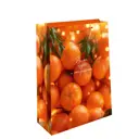 Подарочный пакет Арт и дизайн 42x33 см в ассортименте