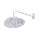 Лейка для верхнего душа Cezares CZR-B-TDD-25-BIO округлый цвет белый матовый