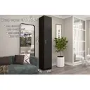 Шкаф распашной Furnistyle Лайф с 1 дверью 40x220x40 см ЛДСП цвет венге/антрацит