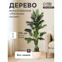Искусственное дерево Финиковая пальма 7559463 170 см